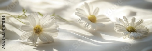 Obraz na płótnie Delicate white daisies rest on soft, flowing fabric, bathed in sunlight w salonie