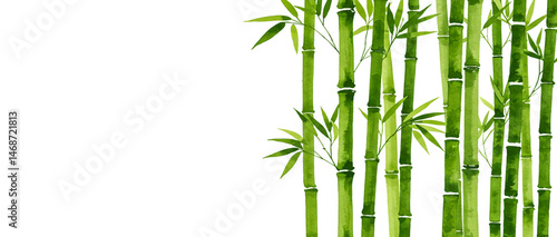 Watercolor illustration of vibrant green bamboo stalks with delicate leaves isolated against a white background