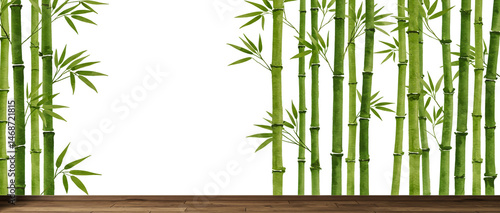 Watercolor painting of lush green bamboo stalks with leaves on a white background and wooden floor.