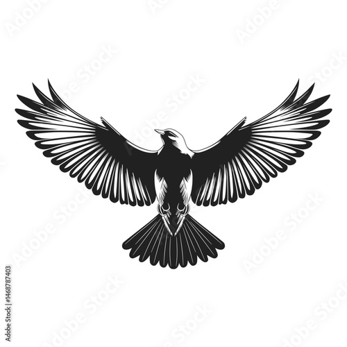 Monochrome silhouette of a bird in flight with outstretched wings