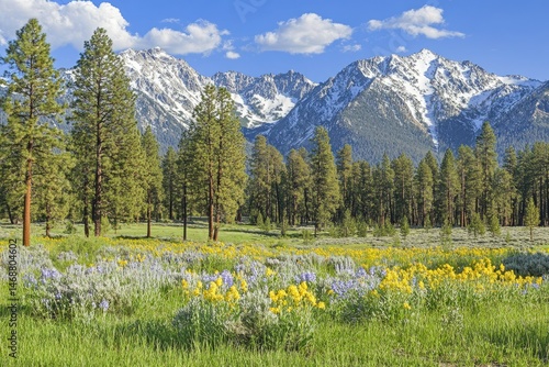 Fototapeta Naklejka Na Ścianę i Meble -  Mountain meadow bursting with wildflowers under a vibrant sky