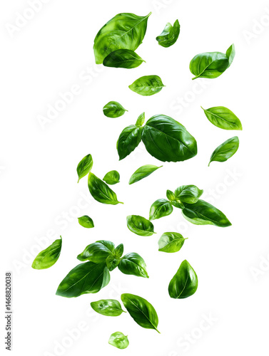 Falling Basil Leaves on Transparent Background, PNG