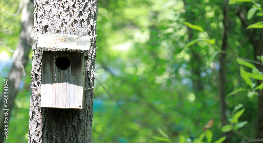 A wooden bird house against a green soft background. A wooden bird house against a green soft background.