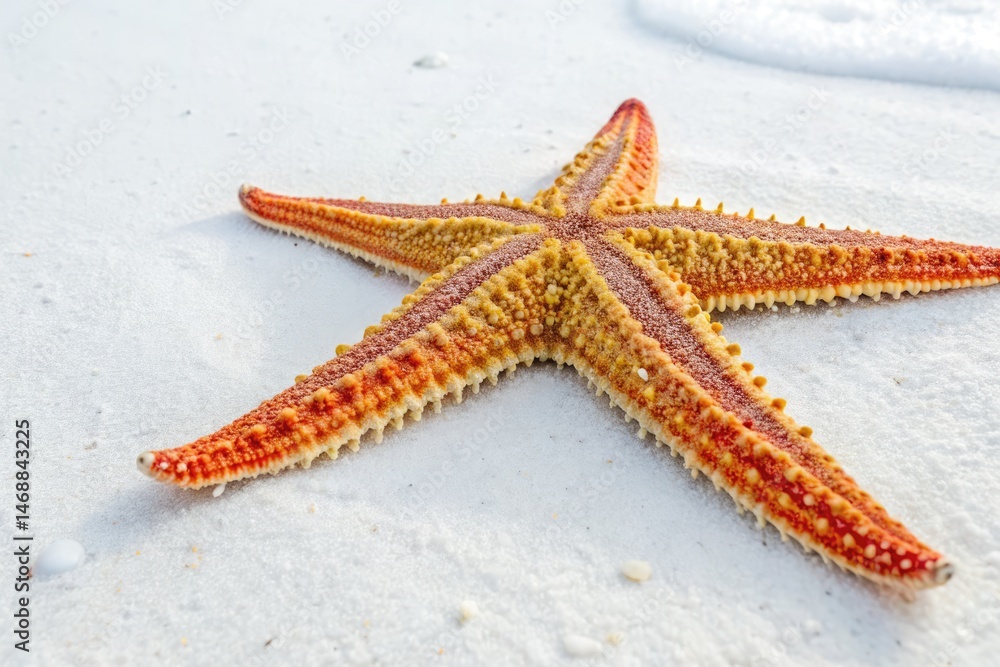 Vibrant Starfish Rests on White Background in Natural Setting Generative AI
