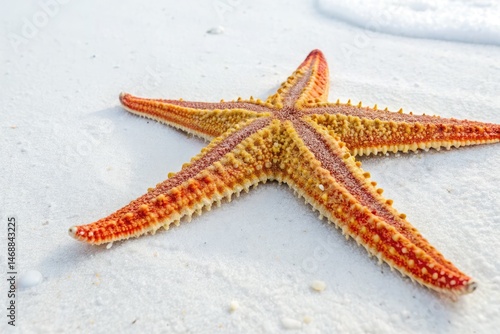 Obraz na płótnie Vibrant Starfish Rests on White Background in Natural Setting Generative AI w salonie