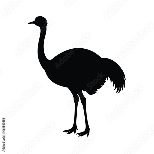  Black silhouette of a ostrich bird on vector art illustration