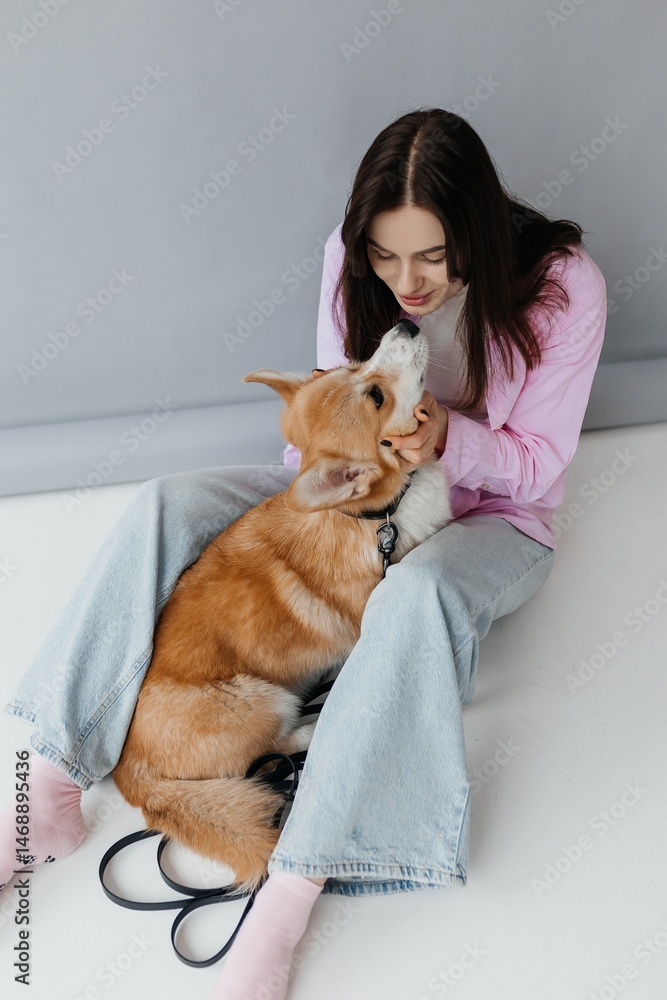 Woman in jeans sitting on the floor and playing with a corgi dog. Cute brunette woman in a white t-shirt and jeans hugging a corgi on a white background. Love for animals. woman holding a corgi dog.