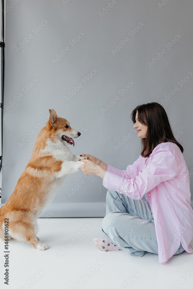 Woman in jeans sitting on the floor and playing with a corgi dog. Cute brunette woman in a white t-shirt and jeans hugging a corgi on a white background. Love for animals. woman holding a corgi dog.