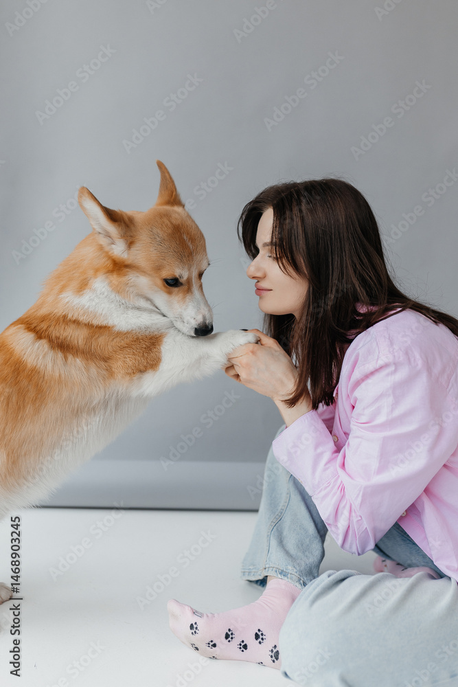 Happy brunette sitting next to corgi dog indoors. Cheerful girl in good mood stroking animal. Concept of friendship between man and pet.