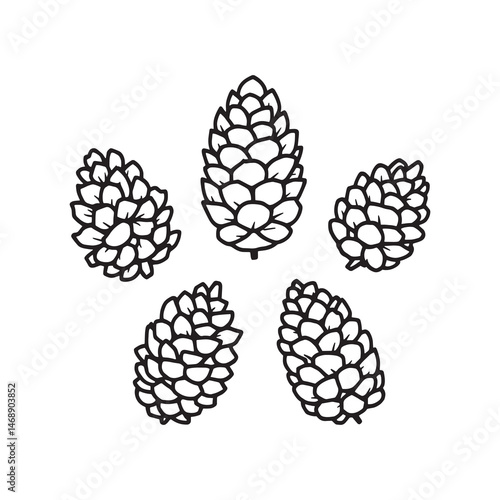 Elegant pine cone line artwork for seasonal decor