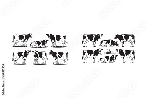 cows on a white background