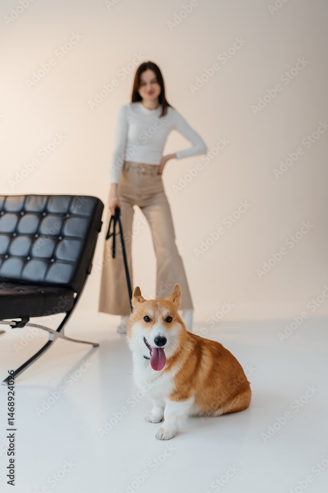 Young woman playing with her corgi dog. Healthy lifestyle and living in an apartment with a pet. Pets concept.