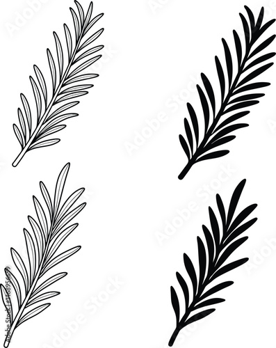 “Botanical Leaf Silhouette Vector  Black and White botanical leaf, palm frond