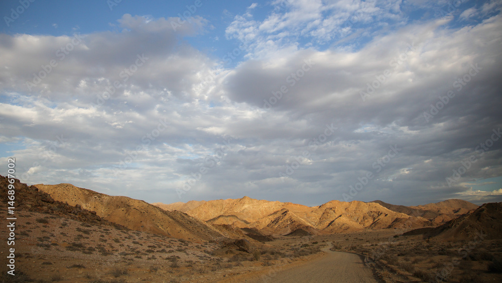 Naklejka premium Gravel road cutting through the rugged Richtersveld landscape