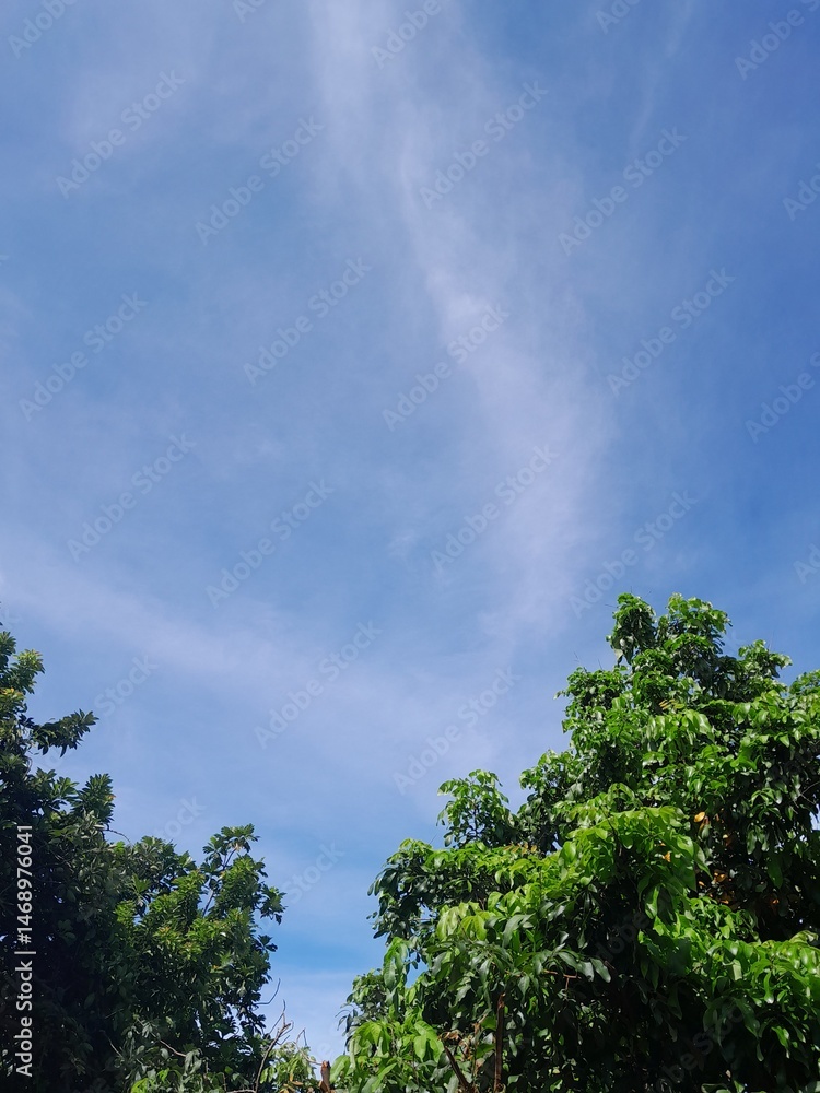 Obraz premium sky and clouds