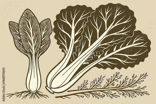 173 detailed botanical illustration, bok choy, romaine lettuce, leaves, roots, earthy tones, detailed shading, intricate patterns, high-quality, digital art