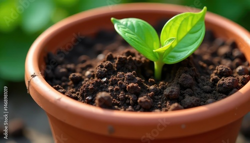 Close-up of rich, dark potting soil in a terracotta pot, ready for planting , dirt, detail, agriculture