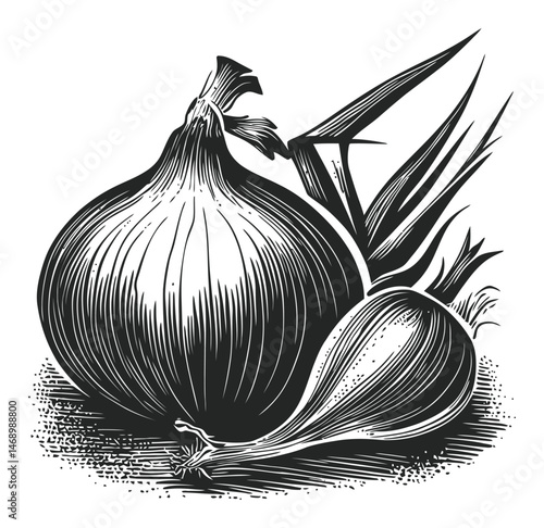 Detailed Black and White Illustration of Fresh Onions and Greens
