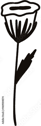 Flower Doodle