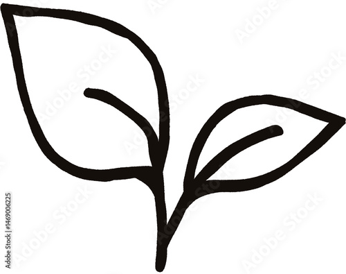 Leaf Doodle