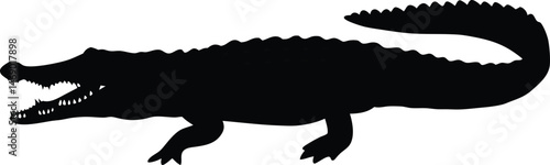 Silhouette of an alligator on a white background, vector illustration.