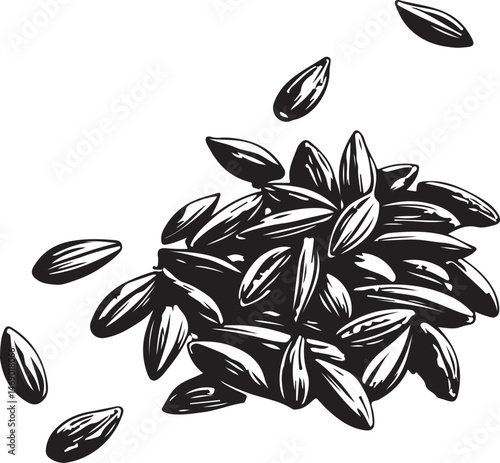 Black cumin seeds, Healing Plant, Natural Remedy, Naturopathy, Black and White Vector Illustration, Sketch Drawing Line Linear Symbol Icon Engraving, Hand-drawn Isolated