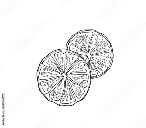 Two monochrome round orange slices vector illustration painted by black inks. Etching drawing of citrus fruit wedges. Aromatic ingredient for juice packaging, healthy food branding, beverage decor