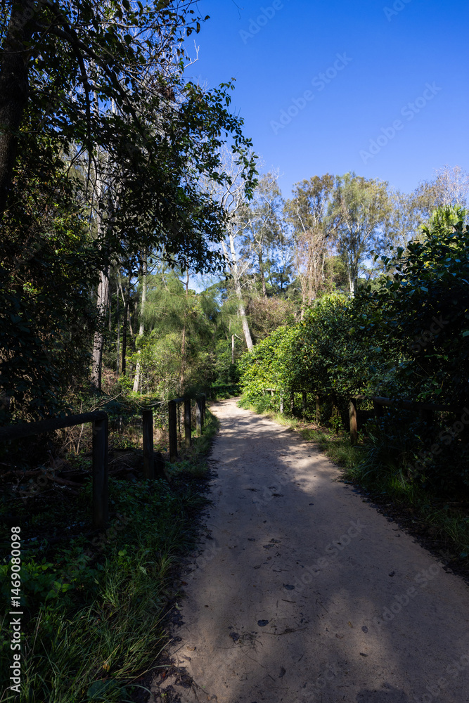 Beautiful walking path into the bushland area. Beautiful walking path into the bushland area.