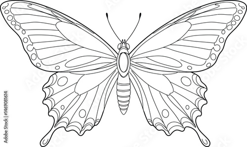 Symmetrical Butterfly Outline