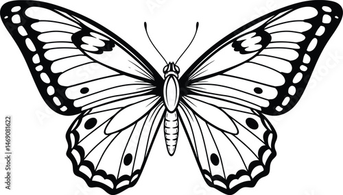Symmetrical Butterfly Outline