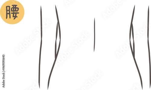 後ろから見た腰のパーツイラスト