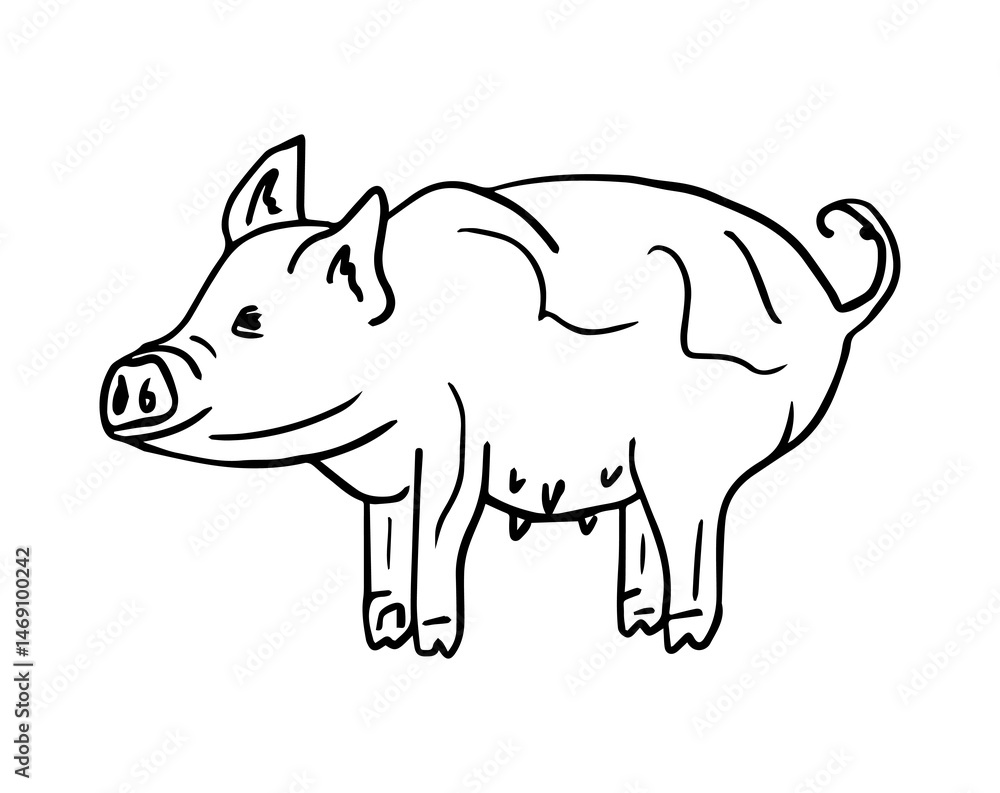 Contour illustration of a piglet, farm animals. A pig drawn by hand. The concept of rural products and animal husbandry. Hand-drawn vector illustration for packaging, postcards and T-shirts. Contour illustration of a piglet, farm animals. A pig drawn by hand. The concept of rural products and animal husbandry. Hand-drawn vector illustration for packaging, postcards and T-shirts.