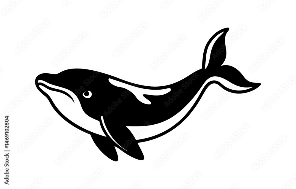 Fototapeta premium Dolphin vector illustration