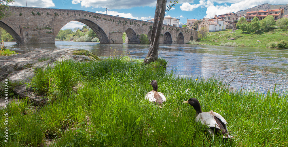 Medieval bridge of Barco de Avila, Spain