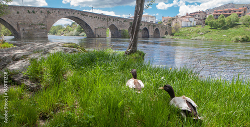 Obraz na płótnie Medieval bridge of Barco de Avila, Spain w salonie