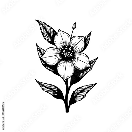 Elegant monochrome floral drawing showcasing delicate petals and detailed foliage