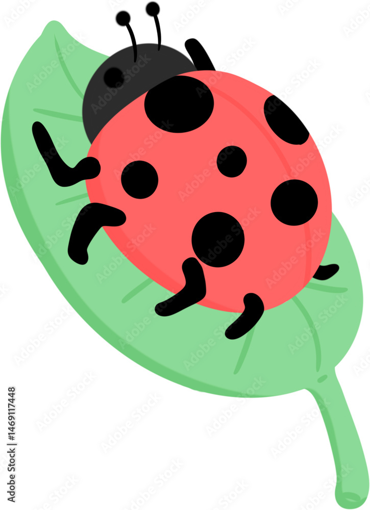 Obraz premium illustration ladybug