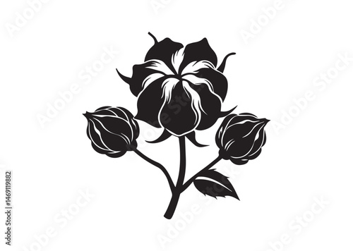 Cotton Flower Silhouette Vector