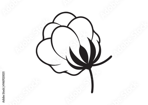 Cotton Flower Silhouette Vector