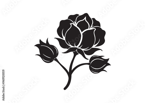 Cotton Flower Silhouette Vector