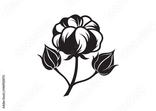 Cotton Flower Silhouette Vector