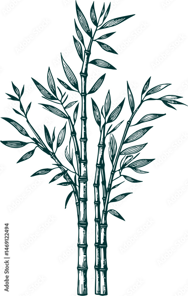 Obraz premium Elegant Bamboo Silhouette with Leaves, Minimalist vector of tall bamboo stalks with slender leaves, perfect for zen, nature, or Asian-themed designs. 