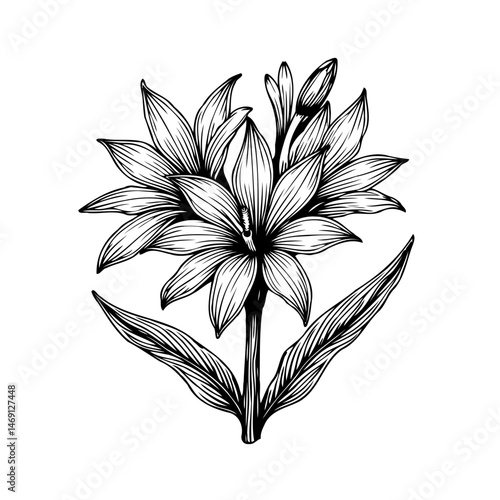 Elegant monochrome floral artwork showcasing a refined botanical illustration