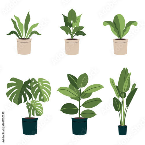 Vector flat set of homeplants on white background