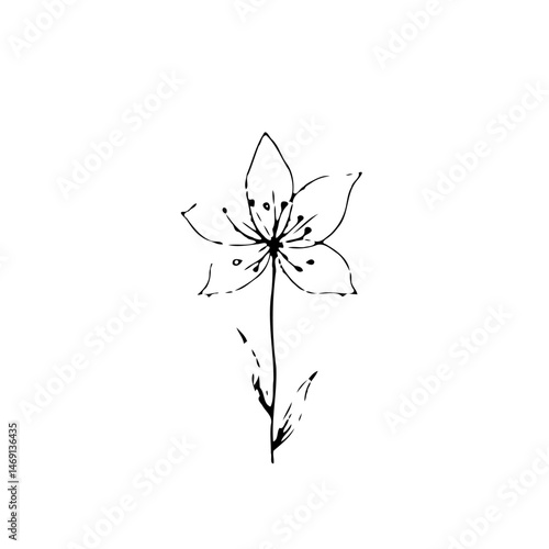 Elegant minimalistic flower drawing for designs and creative projects idea