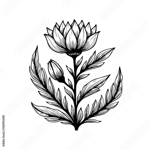 Elegant botanical illustration: stylized lotus flower with intricate line work