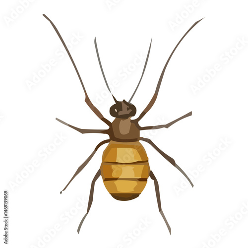 vector illustration of a black beetle
