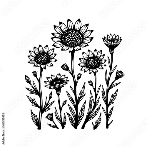 Elegant botanical illustration featuring sunflowers and foliage in monochrome