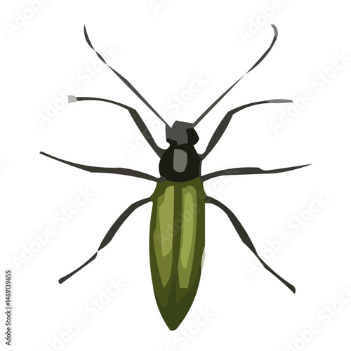 vector illustration of a bug