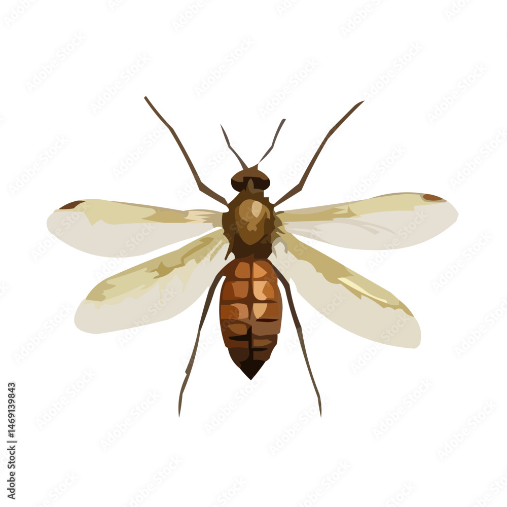 Obraz premium insect vector illustration